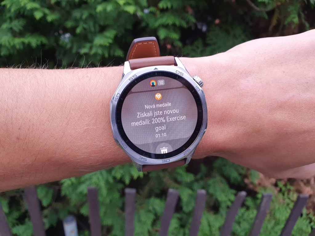 Die Notifizierungen sind nach Anwendungen gegliedert