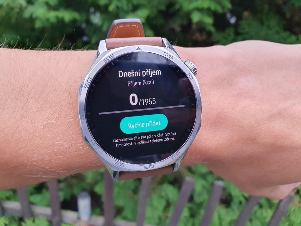 Sie können Ihre Kalorienzufuhr auf der Uhr eingeben